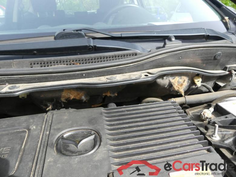 Mazda DE - LimS3 1.3 EU4, Independence (Sport), 2008 - 2010 2 Lim. #6