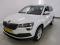 preview Skoda Karoq #0