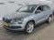 preview Skoda Karoq #0