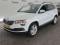 preview Skoda Karoq #0