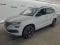 preview Skoda Karoq #0