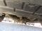preview Mercedes Vito #4