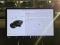 preview Tesla Model 3 #1
