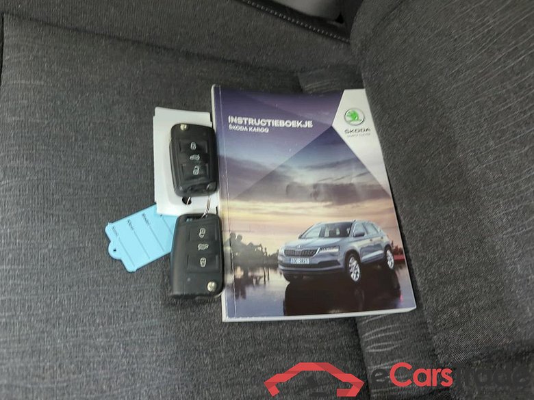 SKODA Karoq 110 kW #6