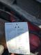 preview MG ZS #5