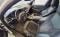 preview BMW 330 #2