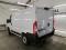 preview Fiat Ducato #1