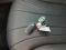 preview Mercedes E-Class #3