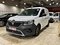 preview Renault Kangoo #0
