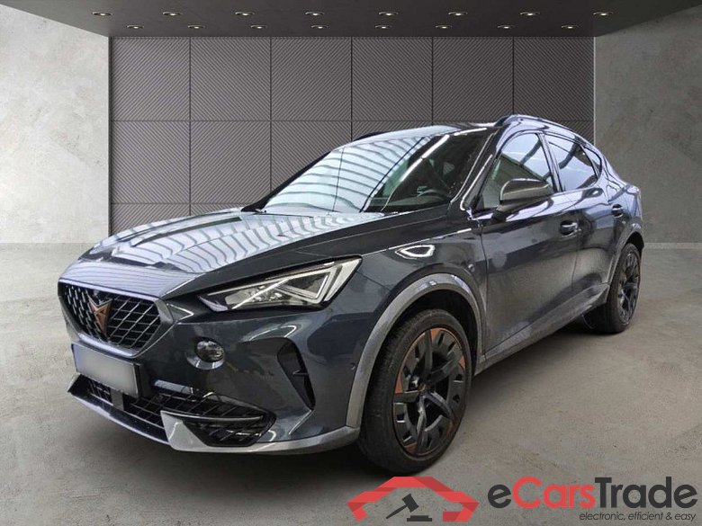 Cupra Formentor (KM7)(08.2020->) DE - SUV5 2.0 TSI EU6d, VZ 4 Drive, 2020 - 2024