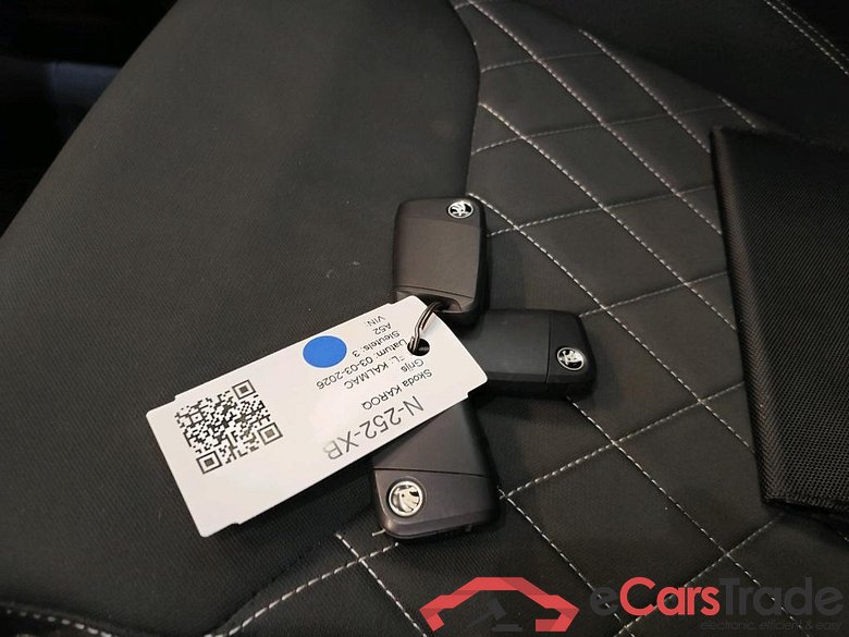 SKODA Karoq 110 kW #6