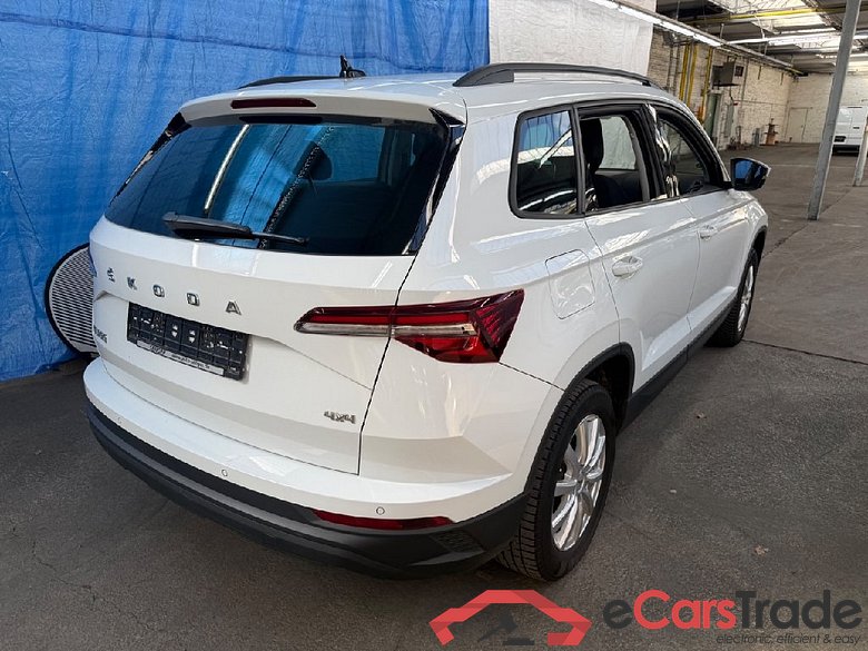 Karoq Tour 4x4 2.0 TDI 110KW AT7 E6d #2
