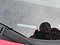 preview Volkswagen Polo #1