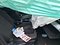 preview Audi A3 #2