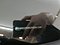 preview Volkswagen Polo #1