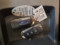 preview Ford Focus #5