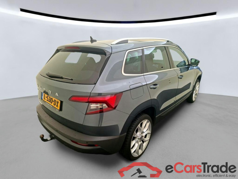 SKODA Karoq 110 kW #6