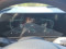 preview Kia Sportage #4