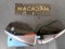 preview BMW iX1 #3